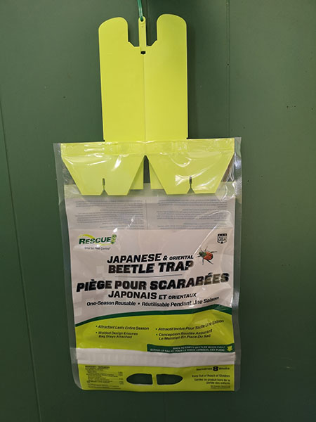 Rescue Japanese Beetle Trap - SOLD OUT
